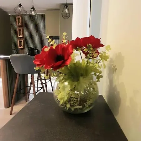 Apartman Studio 42 Brassó